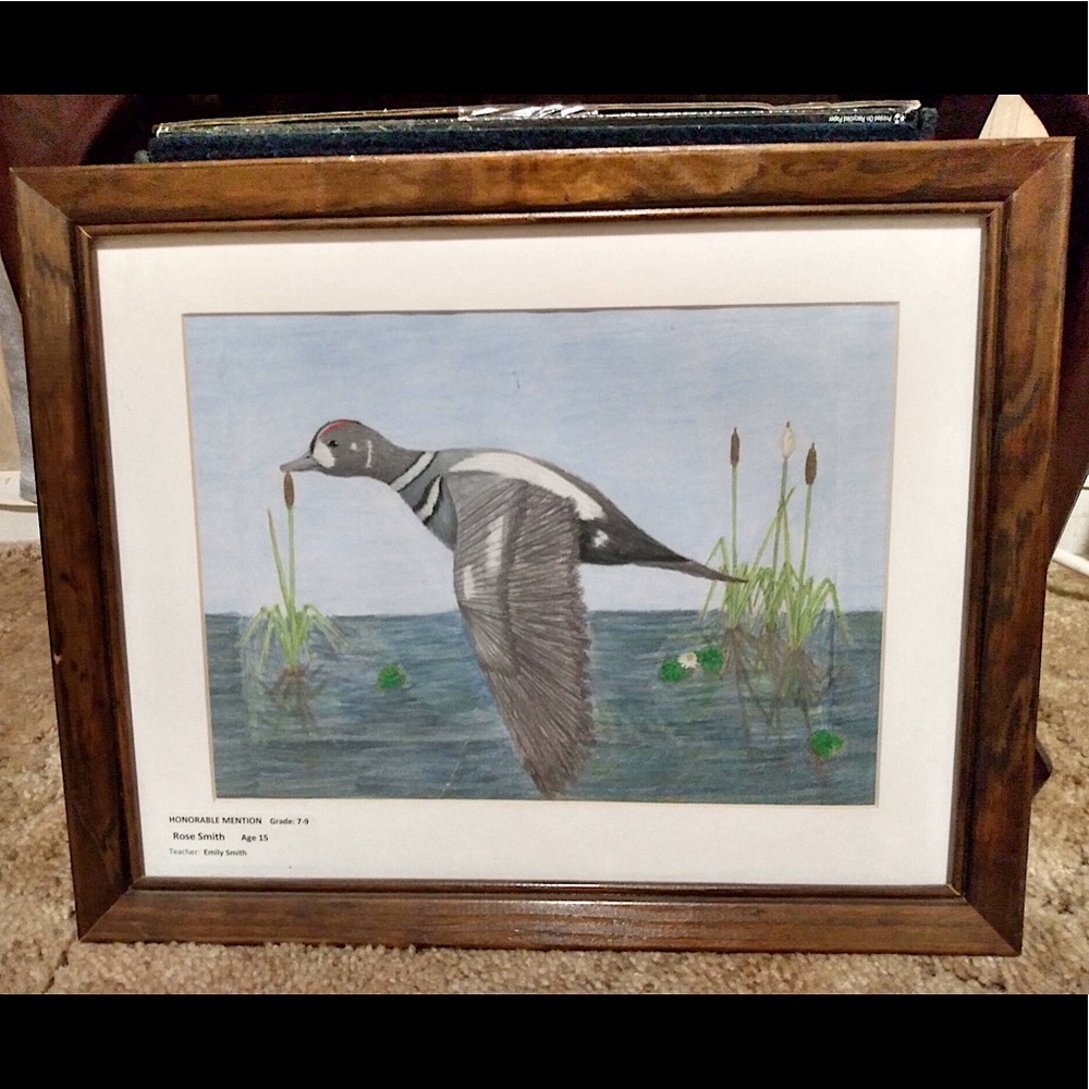 Hand-drawn pencil portrait of a duck